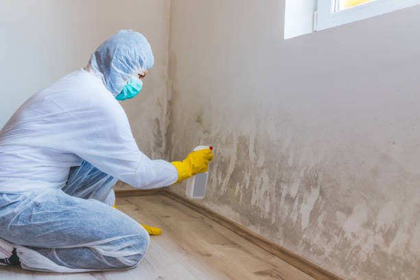 Bathroom Mold Removal assessment in Frisco bathroom